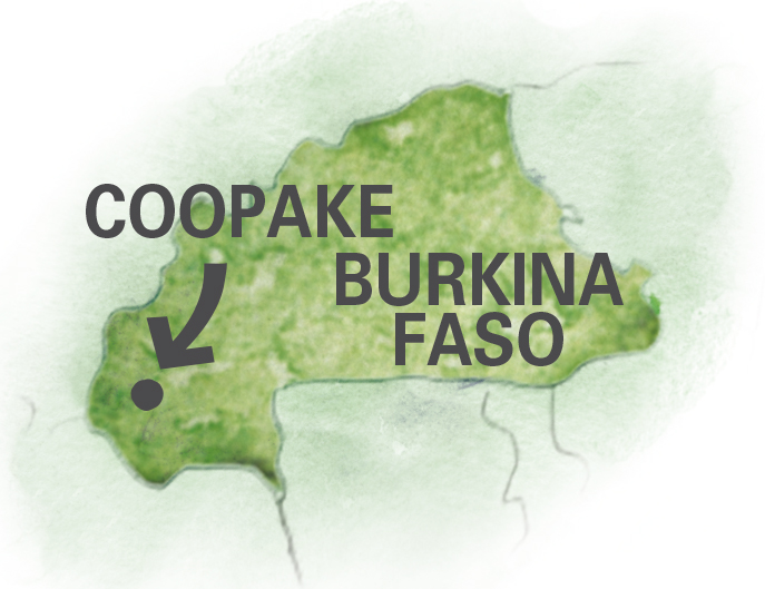Carte coopÃ©rative Coopake au Burkina - Graines de sÃ©same